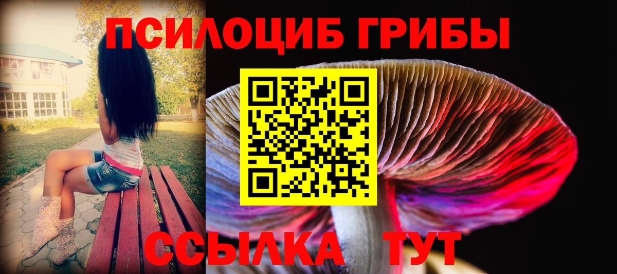 Псилоцибиновые грибы Magic Shrooms  Вход с VPN  Псилоцибиновые грибы мицелий  закладка  Нальчик 